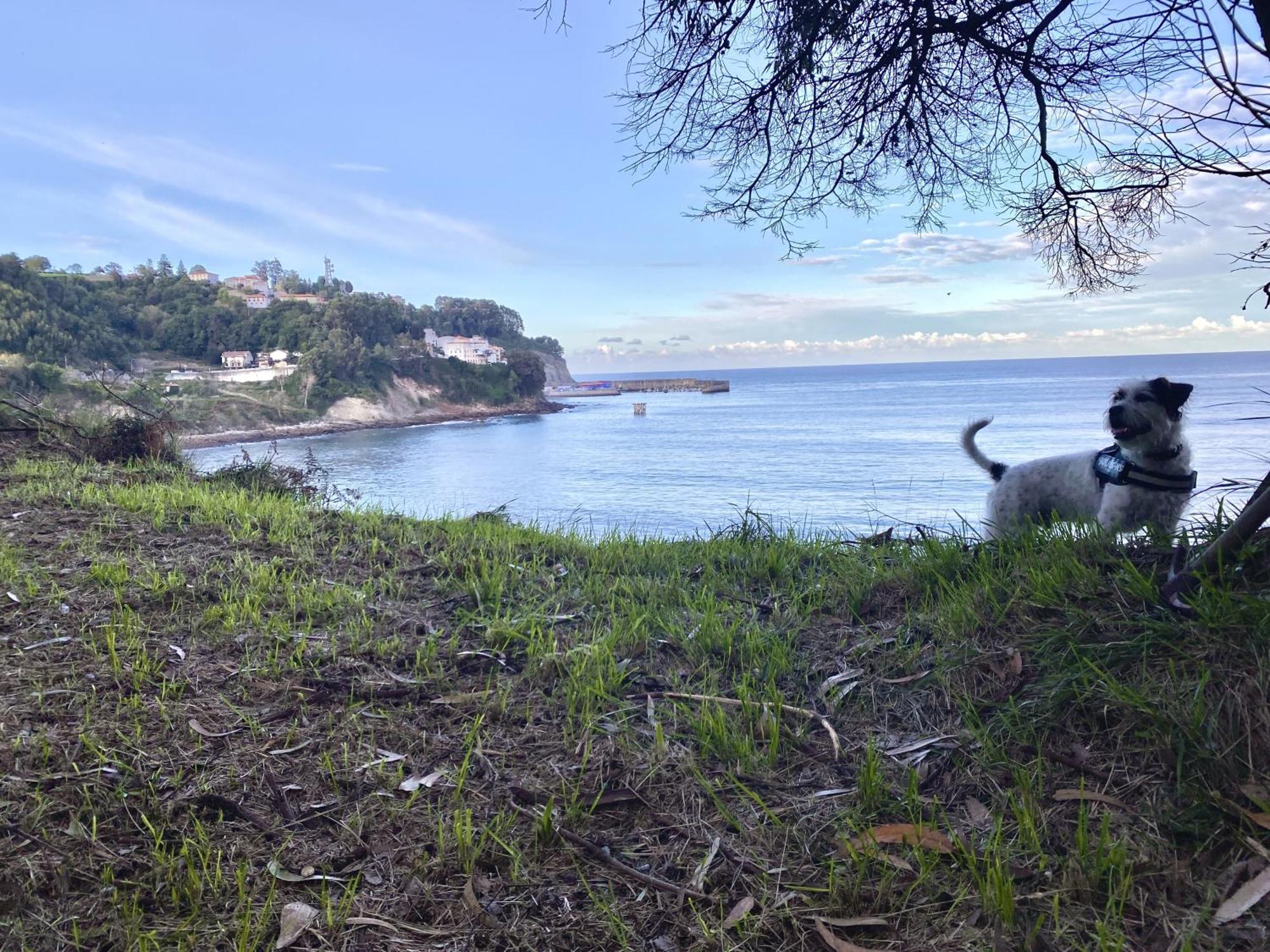 Respirando Salitre Apartamento En Lastres Εξωτερικό φωτογραφία